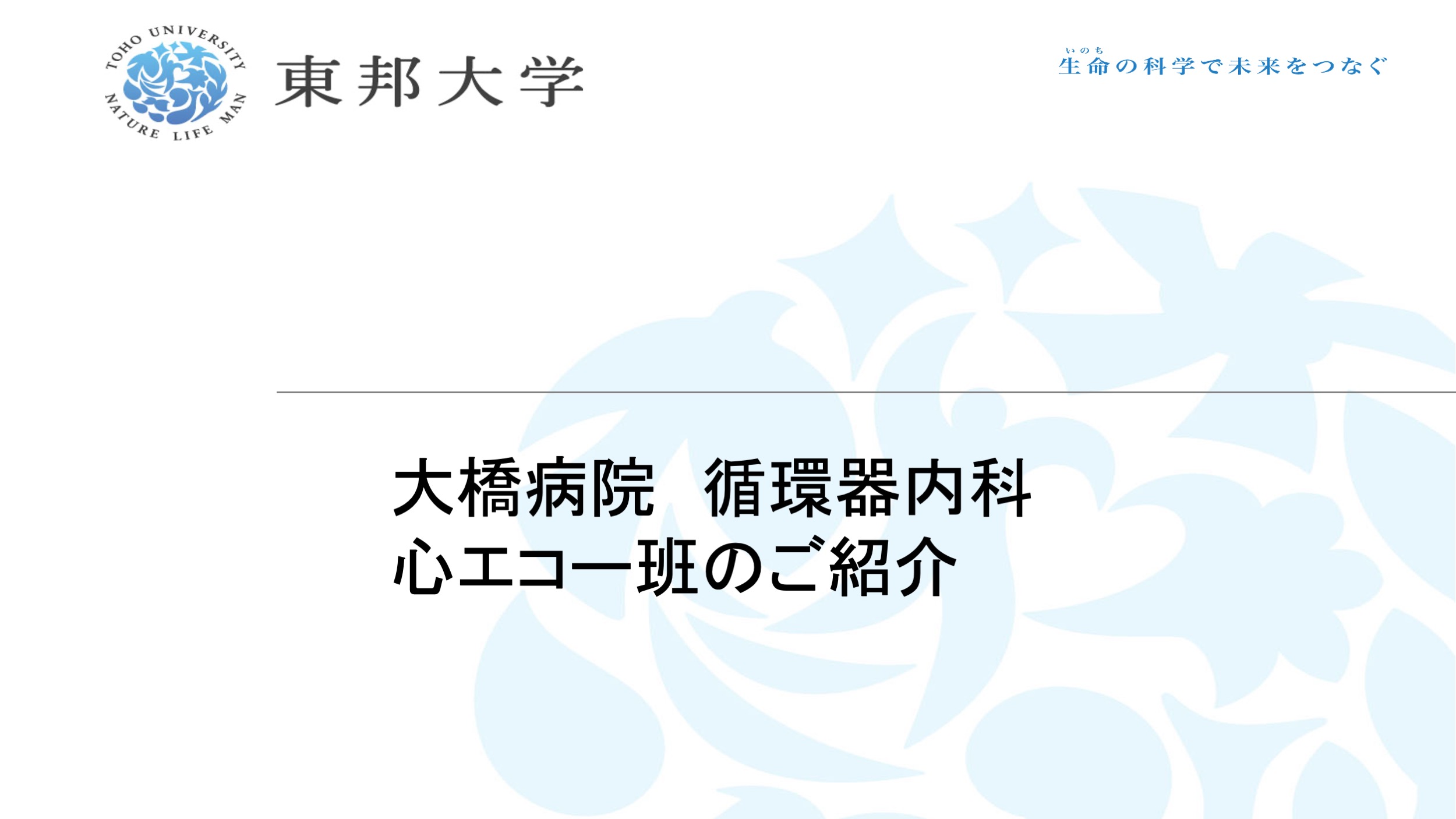 大橋病院心エコー班 スライド1